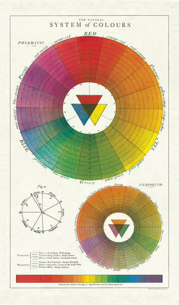 Cavallini & Co. Tea Towel - Color Wheel