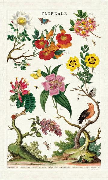 Cavallini & Co.  Tea Towel - Floreale