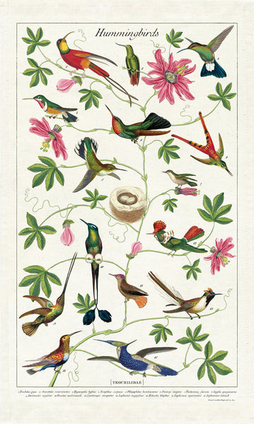 Cavallini & Co. Tea Towel - Hummingbirds