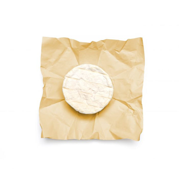 HIC Cheese Paper
