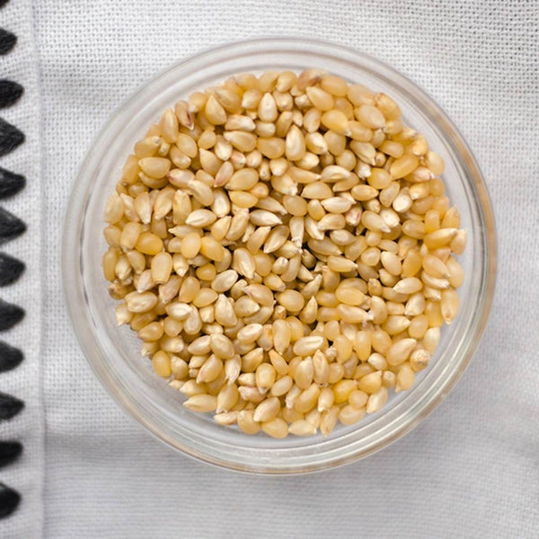 Amish Country Popcorn - Baby Yellow Popcorn